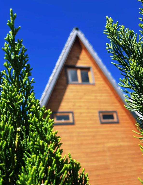 a house is seen through the tops of trees at Canyons Chalet in Cambara do Sul