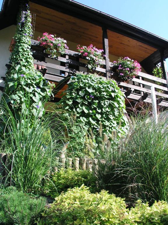 Dom Pod Kasztanami - 11