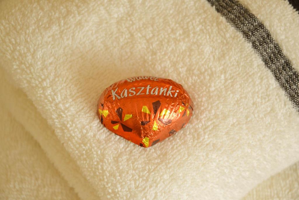 Dom Pod Kasztanami - 7