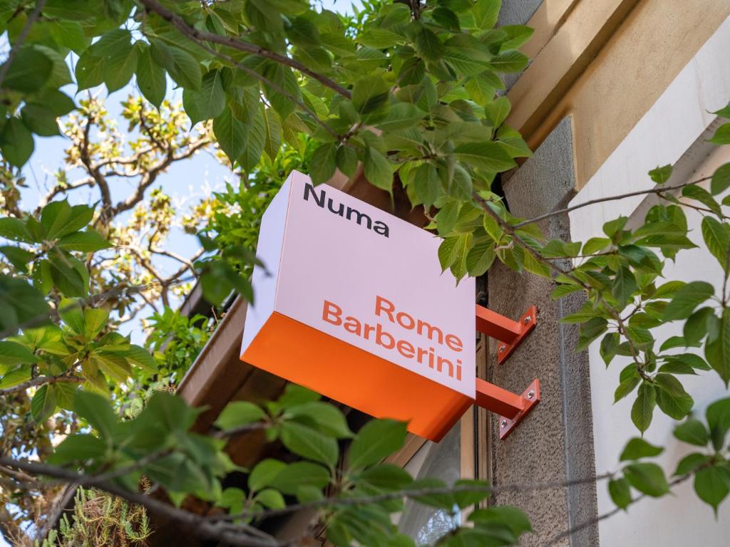 Numa Rome Barberini - Resim 25