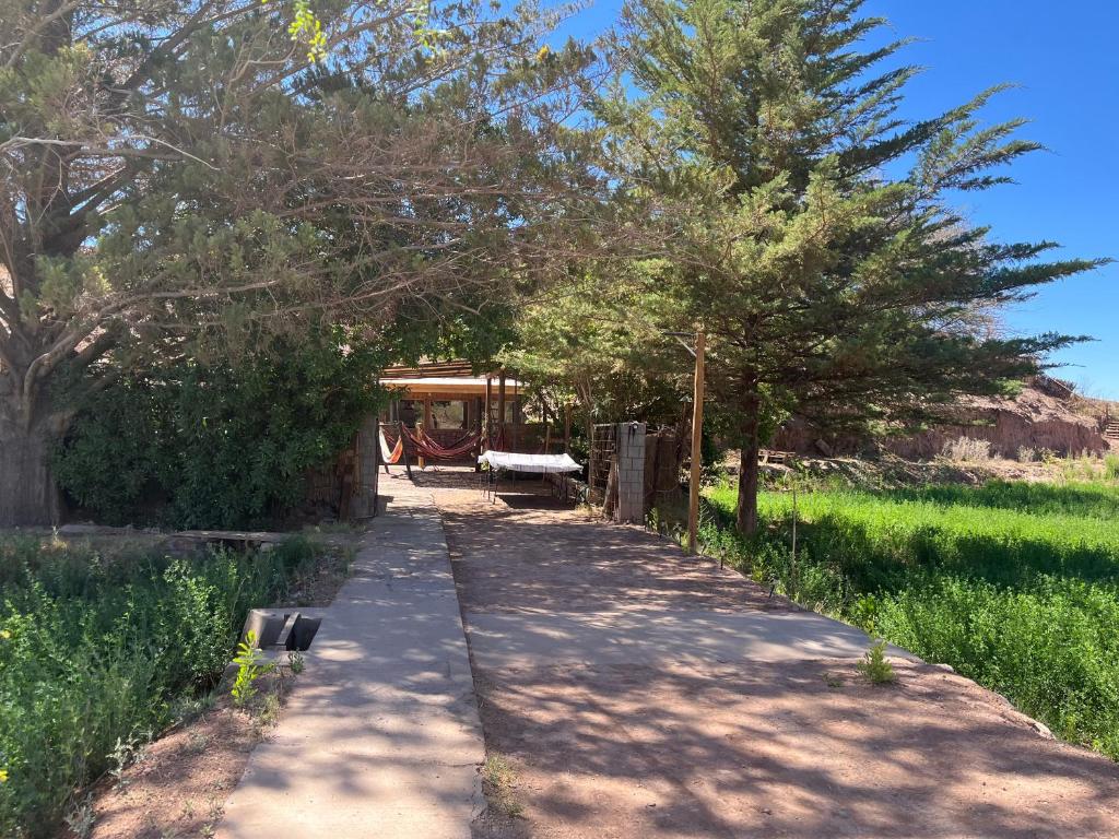 a walkway with a bench and trees in a field at Hostal Piedrita de Rio in San Pedro de Atacama