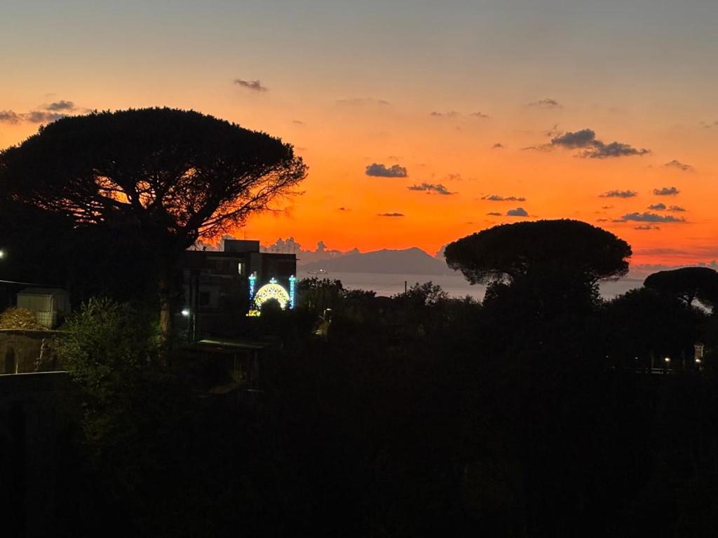 Fotografie z fotogalerie ubytování Salvatore's Apartments v destinaci Meta