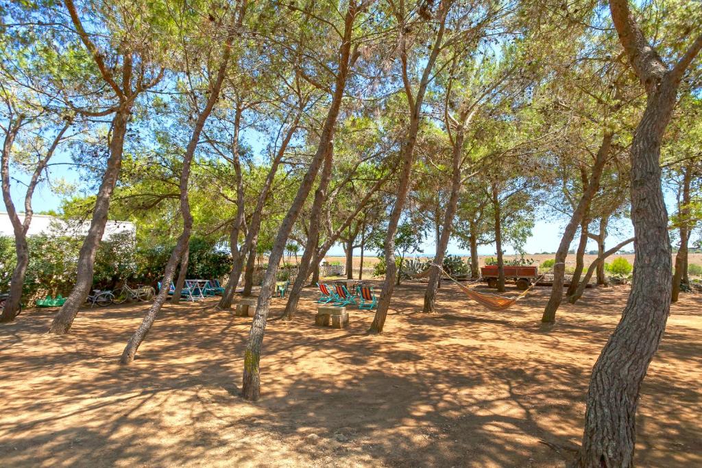 Agriturismo Masseria Terra D'Otranto - 11