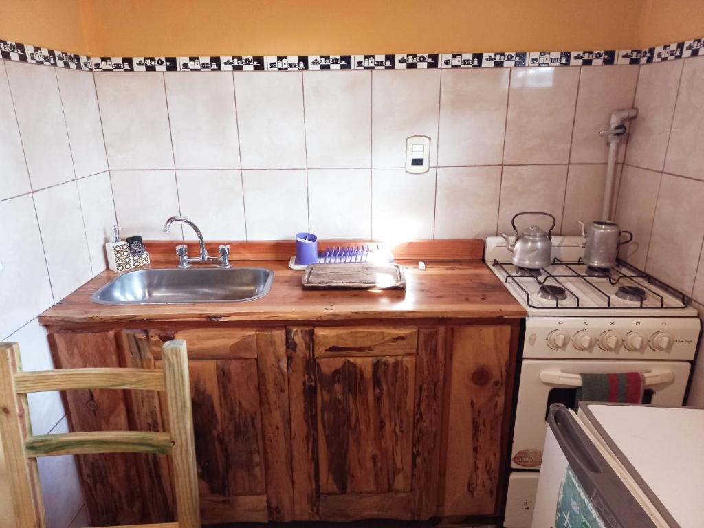 Una pequeña cocina con fregadero y estufa. en Cabañas Los Nonos, en El Bolsón