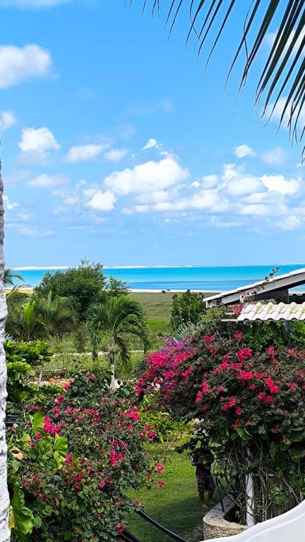 a view of a garden with pink flowers and the beach at Pousada Sahara in Jericoacoara