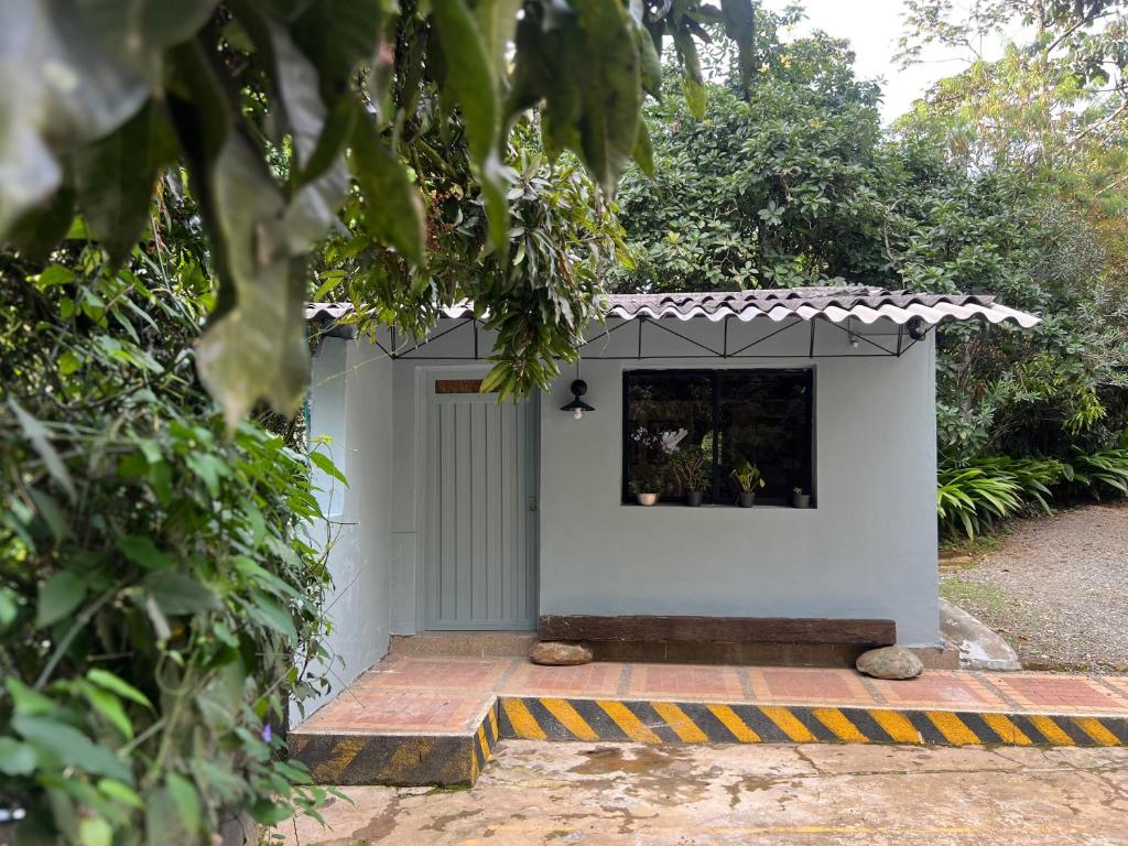 Vườn quanh Central Tiny house surrounded by nature