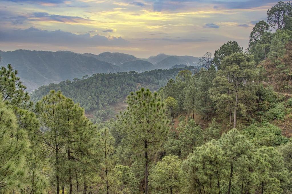 Un paisaje natural cerca del departamento