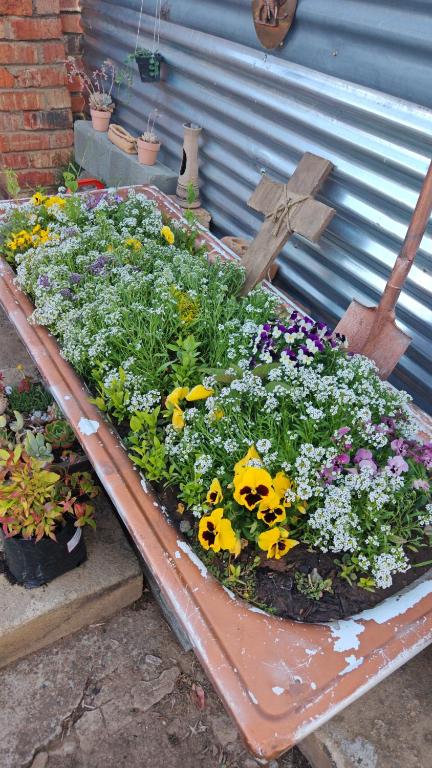 a garden on a table with flowers in it at Habakkuk Guesthouse in Bethlehem