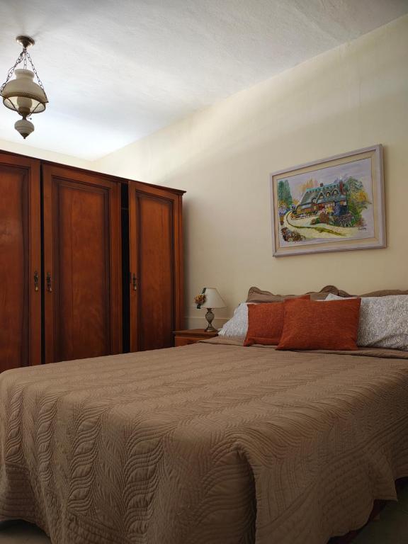 a bedroom with a bed and a painting on the wall at Departamento Peña in Carhué
