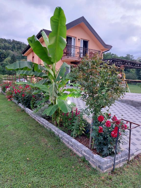 a row of flowers and plants in front of a house at Zem Zem kuća za odmor in Otoka