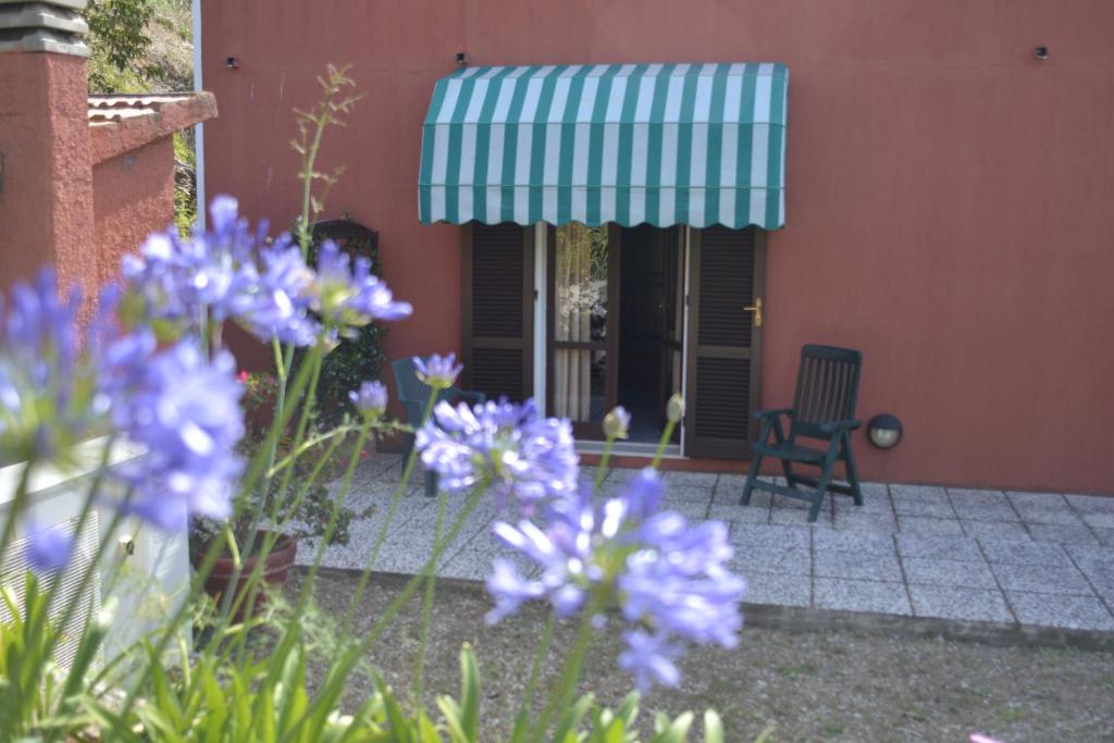 Zahrada ubytování Hotel La Feluca
