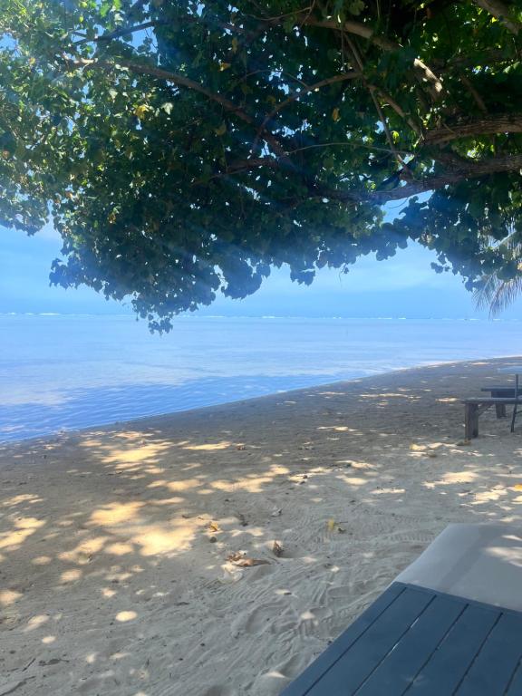Fare Mahagariki - photo 12 - Moorea, Polynésie