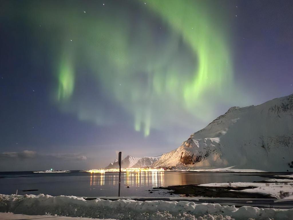 an aurora in the sky over a body of water at Fredvang - 5 bedrooms Feriehus - Lofoten in Fredvang