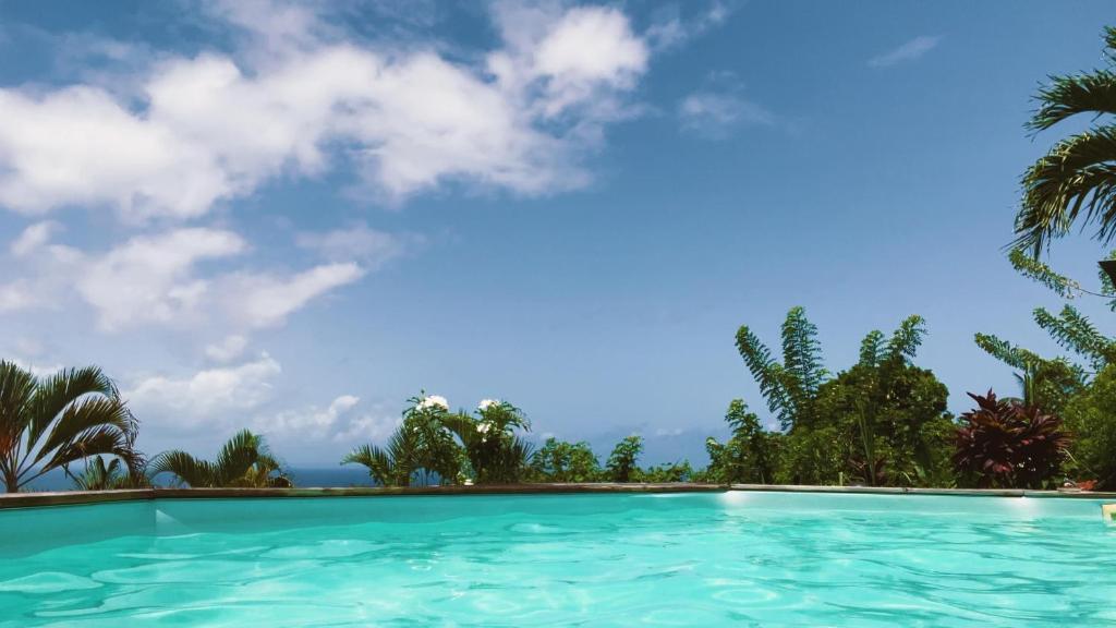 una piscina con un cielo azul y palmeras en Hélios Zion, en Capesterre-Belle-Eau