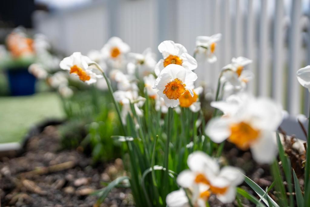 The Mayflower Cottage - Resim 25