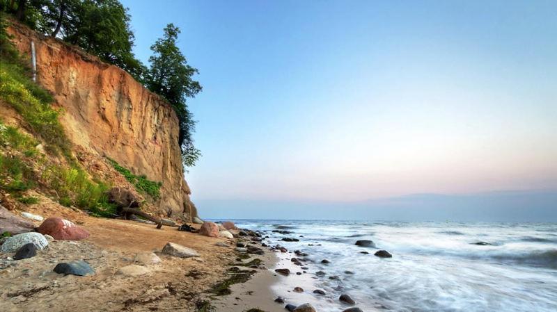 Apartamenty Maestro - 6