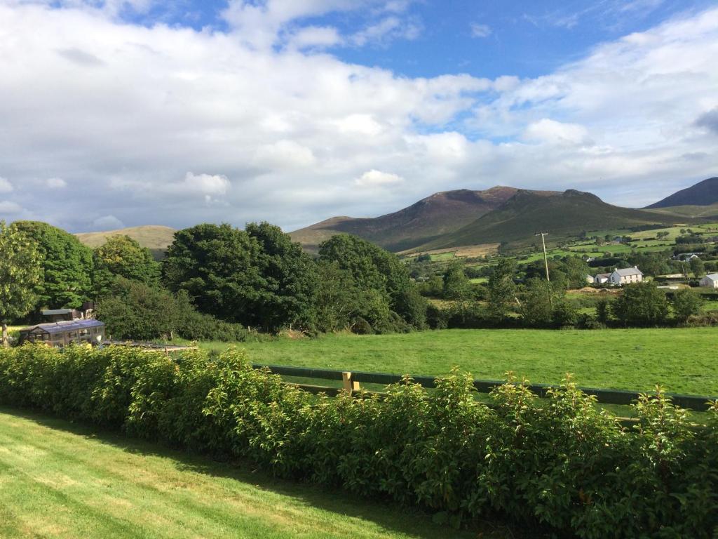un rigoglioso campo verde con montagne sullo sfondo di Clonmurr B&B a Ballyroney