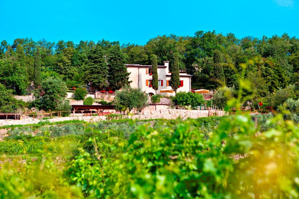 une grande maison au milieu d'une forêt dans l'établissement B&B Le Corone, à Cavalo