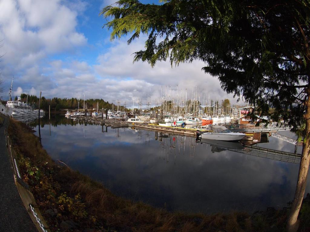 a body of water with boats in a marina at West Coast Motel on the Harbour in Ucluelet