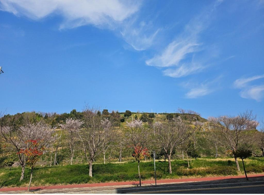 a view of a hill with trees and a road at 여수호텔 퍼스트시티 430호 트윈 하프오션뷰 in Ungch'ŏn-ni