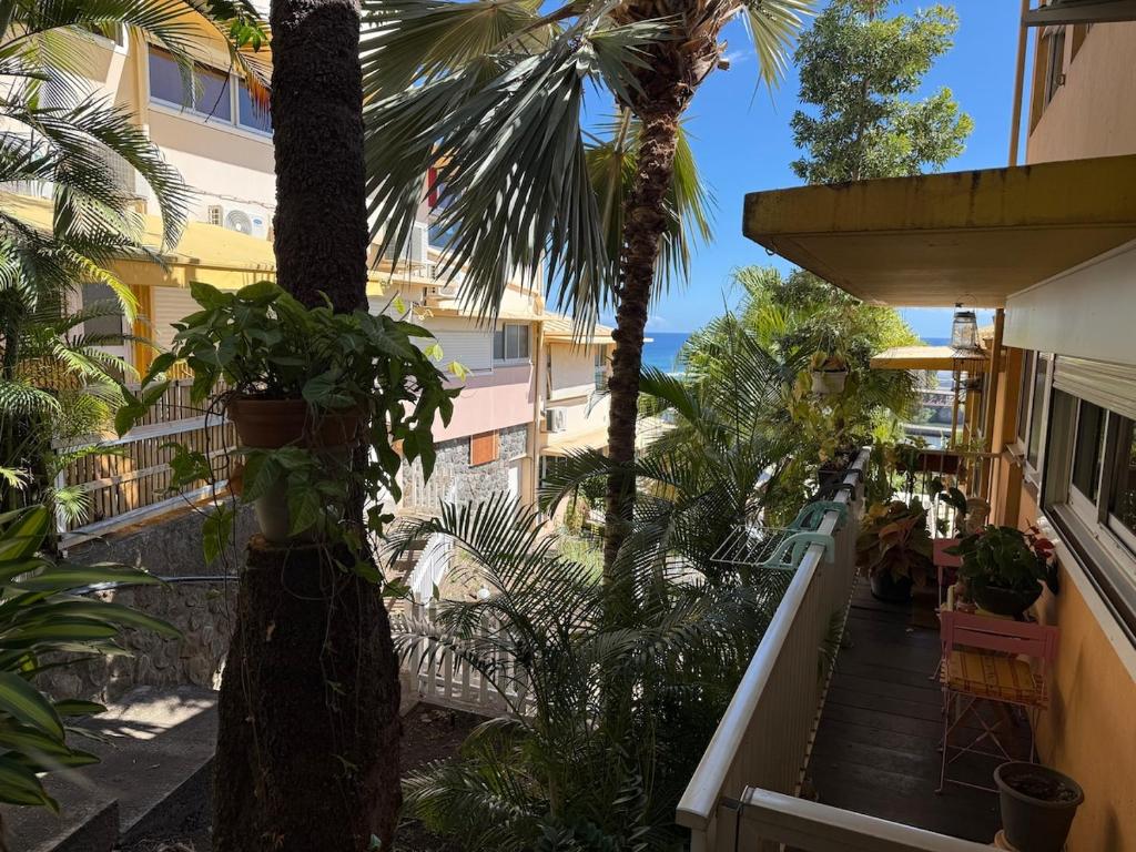 a balcony of a building with palm trees at Studio Piscine à Saint-Gilles prés des plages in L'Ermitage-Les-Bains