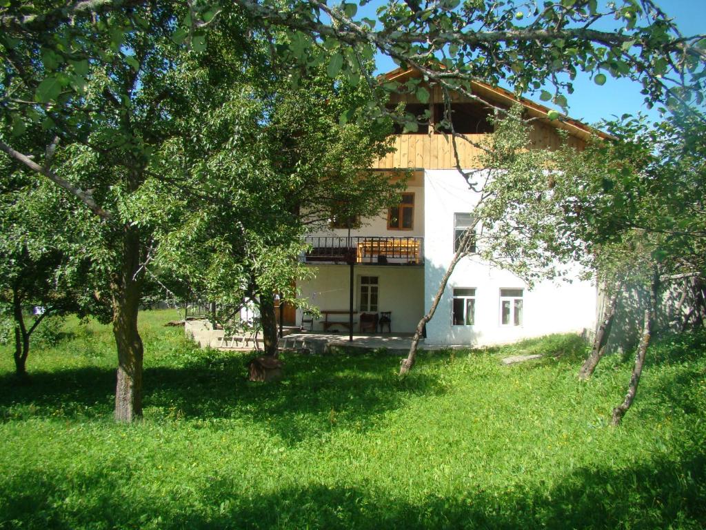 Zahrada ubytování Guest House Tavaduri