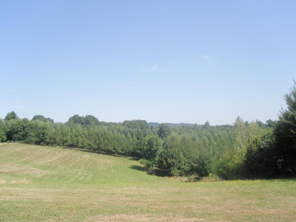 La Ferme de Leychoisier - Eenpersoonskamer