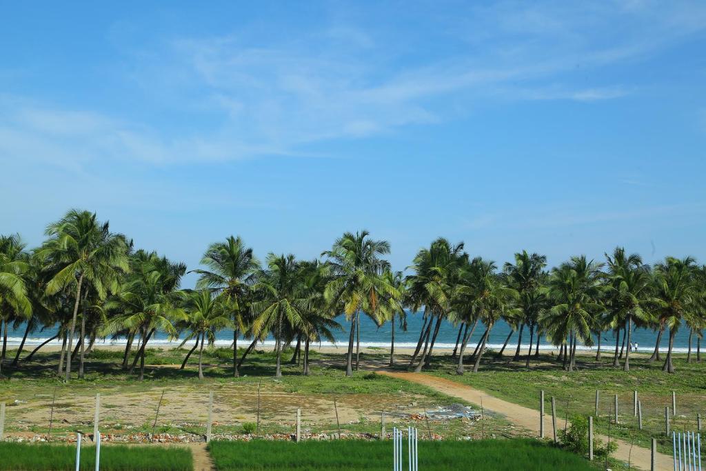 Une rangée de palmiers sur la plage dans l'établissement Seawave Beach Resort, à Bahūr