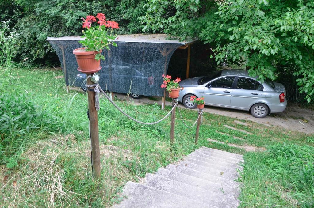 Zahrada ubytování Morava Garden Resort
