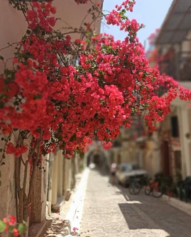 a bunch of red flowers hanging from a building at StayinPyrgi in Pyrgi
