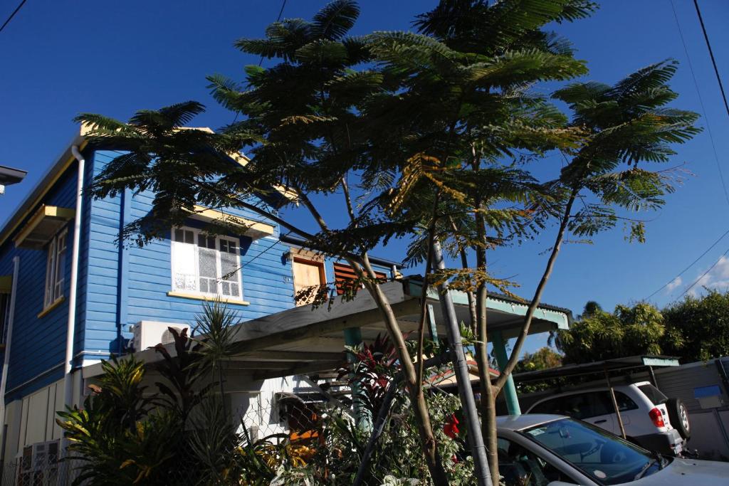 ケアンズにあるハッピーツアーケアンズ シェアハウスのヤシの木が目の前にある青い家