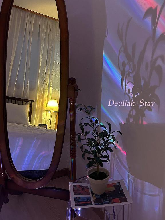 a bedroom with a bed and a mirror and a potted plant at 들락스테이 Deullak Stay in Millak-tong