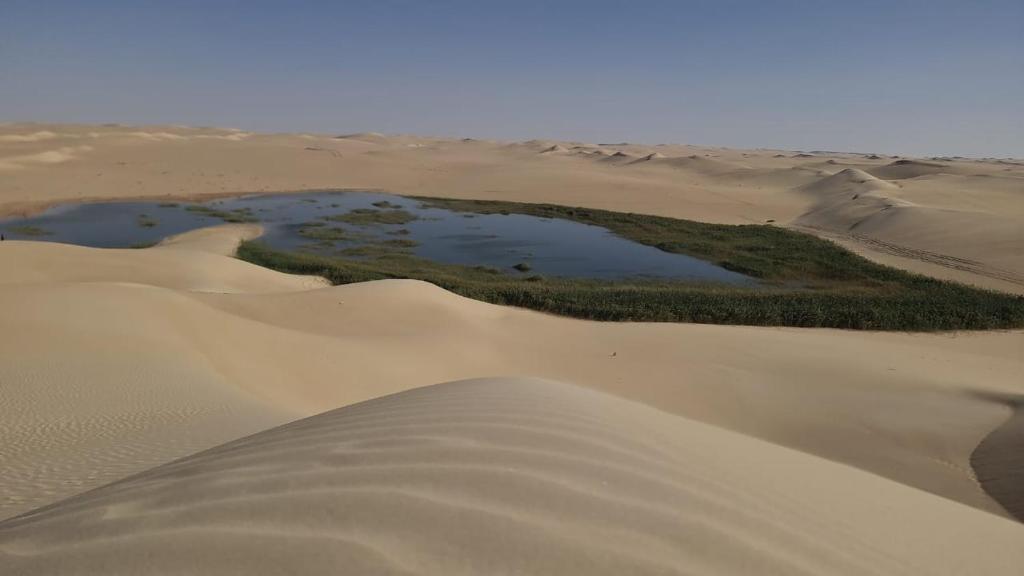 Gallery image of Spellbound in Siwa in Siwa