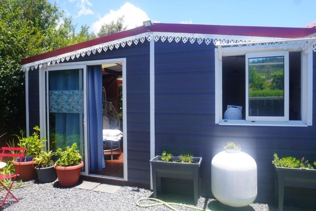 a blue shed with potted plants and a window at Lakafrine in Le Tampon