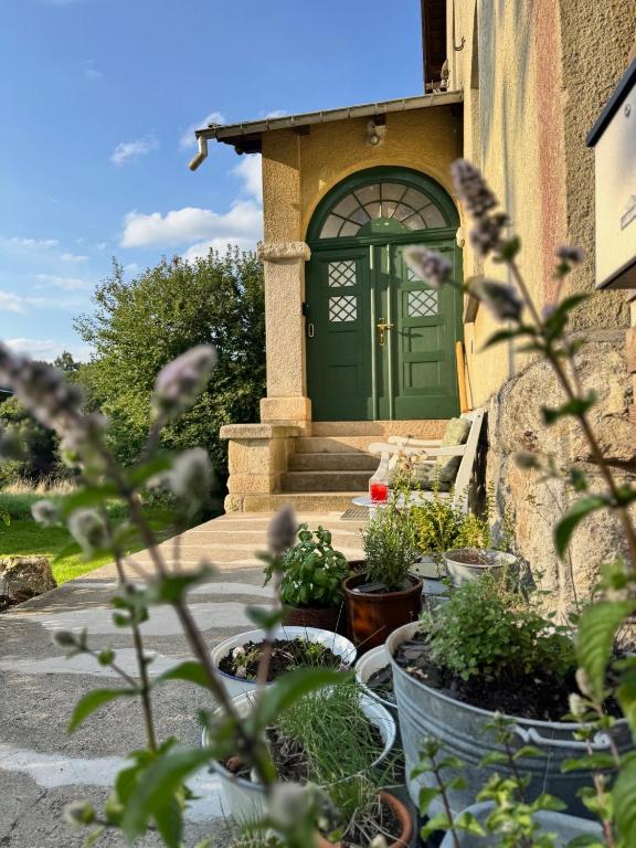 a green door on a house with potted plants at Grüne Villa in Bad Brambach