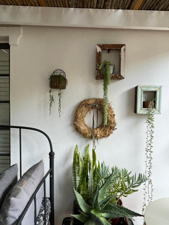 a living room with plants on a wall at Bougain Villa in Paternoster