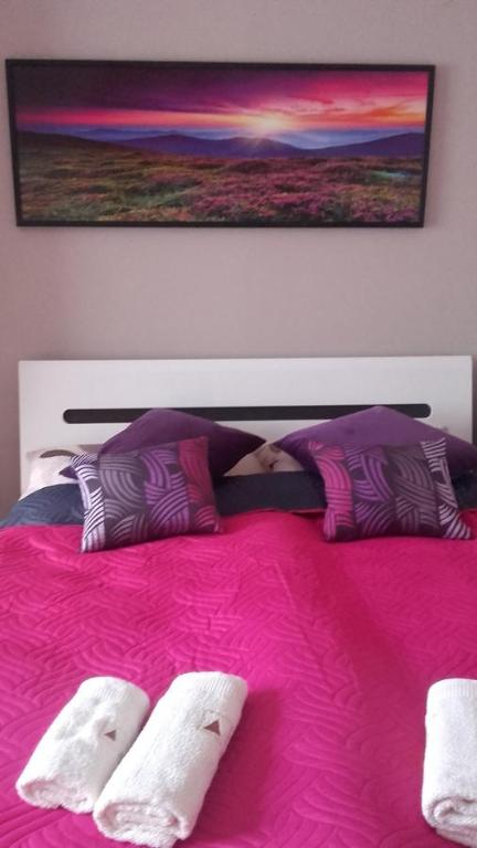 Pokoje Gościnne - Za Borem - Double Room