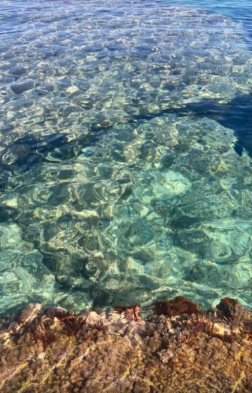 a close up of the clear water in the ocean at I giardini di Santomaj in Leporano