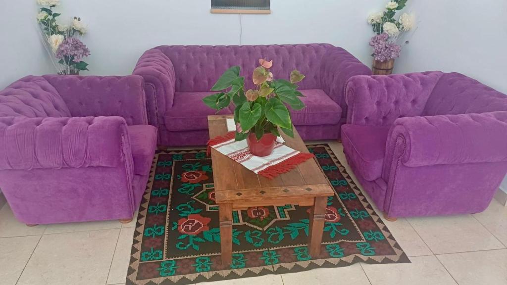 a purple couch and a table in a living room at Casa Pelerinului in Alba Iulia