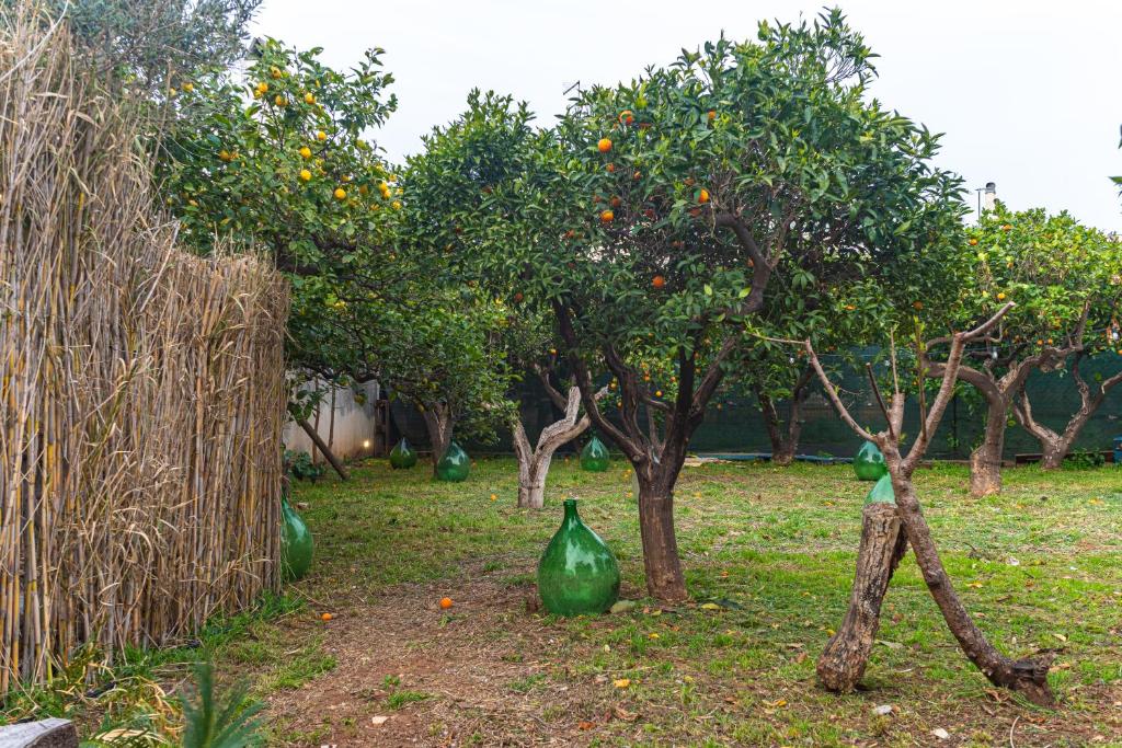 Κήπος έξω από το Dimora Donna Pippi