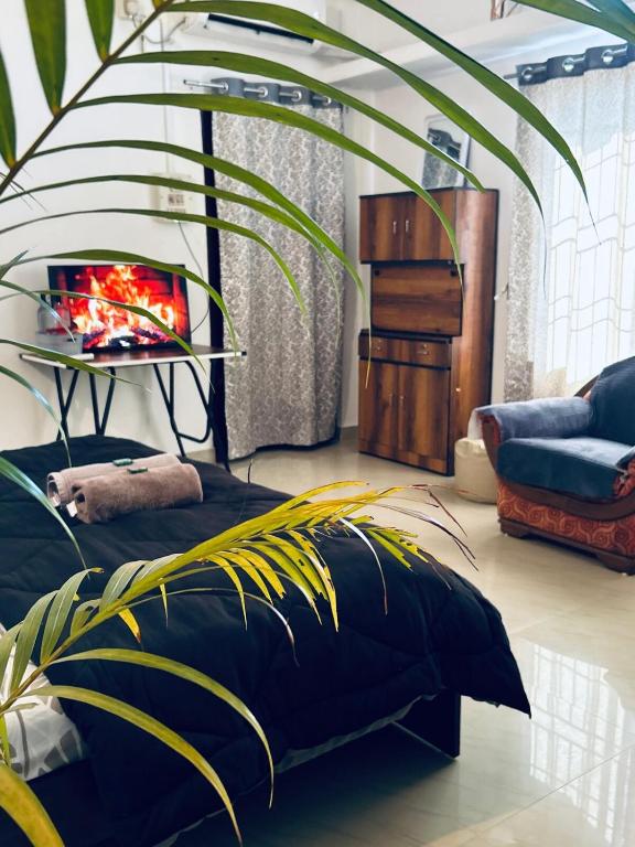 Χώρος καθιστικού στο Oak & olive homestay