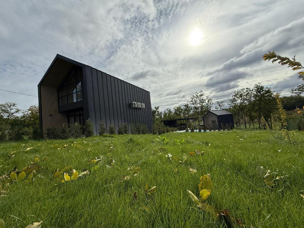 ein schwarzes Gebäude in der Mitte eines Feldes in der Unterkunft Agropensiunea TreiFrati 