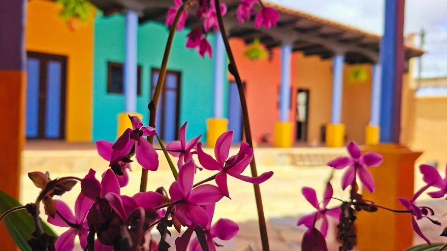 a bunch of purple flowers in front of a building at Jazmin Hotel Boutique Colonial in Comitán de Domínguez