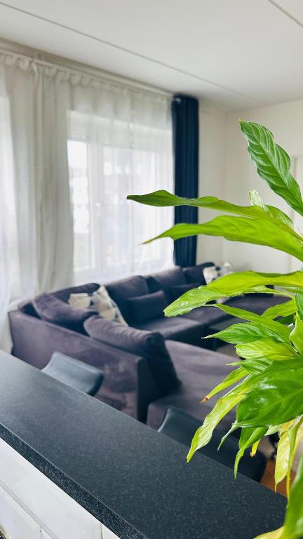 Cozy Stay -3 mins from Kallhäll Station