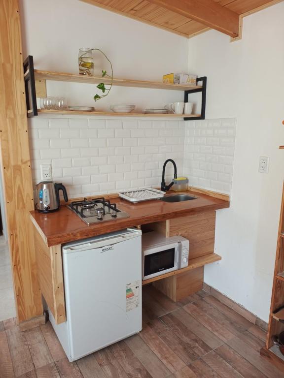 una cocina con estufa horno superior junto a un microondas en Rincón del Shoam, en Gobernador Gregores