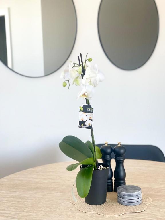 Love Our Loft - Resim 11