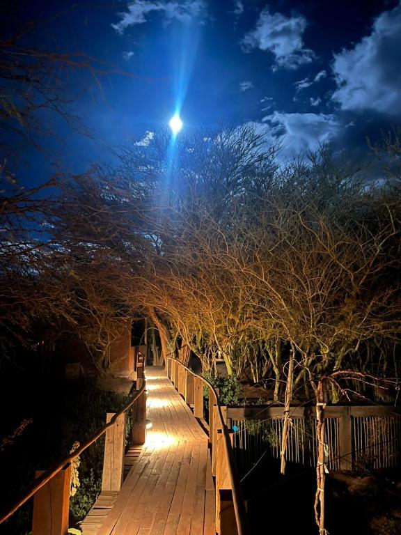 a wooden bridge with trees with the sun in the sky at Cabañas el Chañar in San Pedro de Atacama
