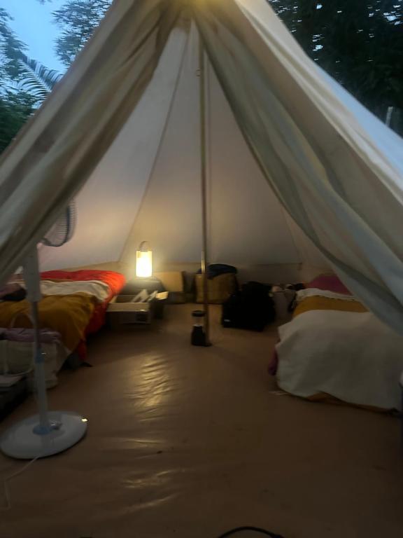 Un dormitorio con una tienda de campaña con dos camas y una lámpara. en Amparito Camp, en Santa Catalina