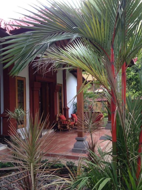 Zahrada ubytování Biorock Homestay & Dive Center Pemuteran