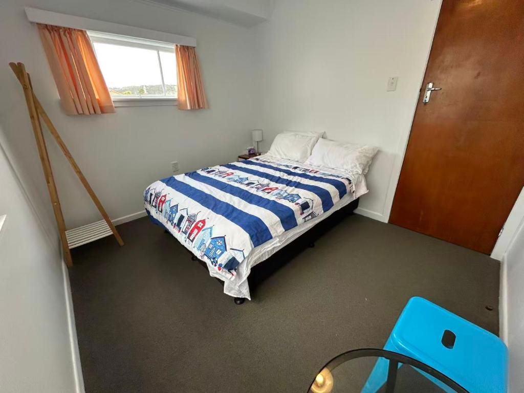 13 Bedlington - Resim 8